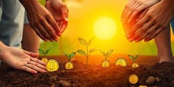 Invista com propósito em fundos de impacto social